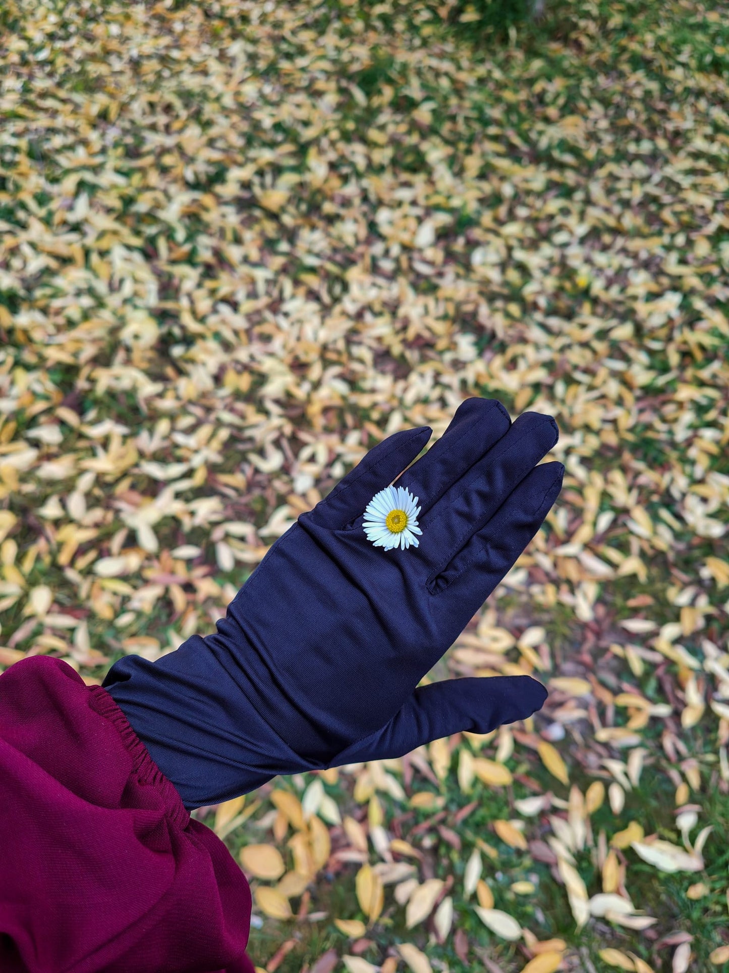 Gloves Assas
